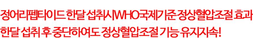 section-image-03.png