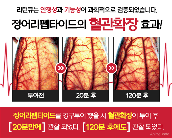 section-image-06.gif
