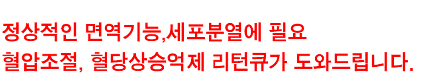section-image-12.png
